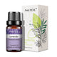 Huiles Essentielles Aroma – Ambiance naturelle & maison apaisante